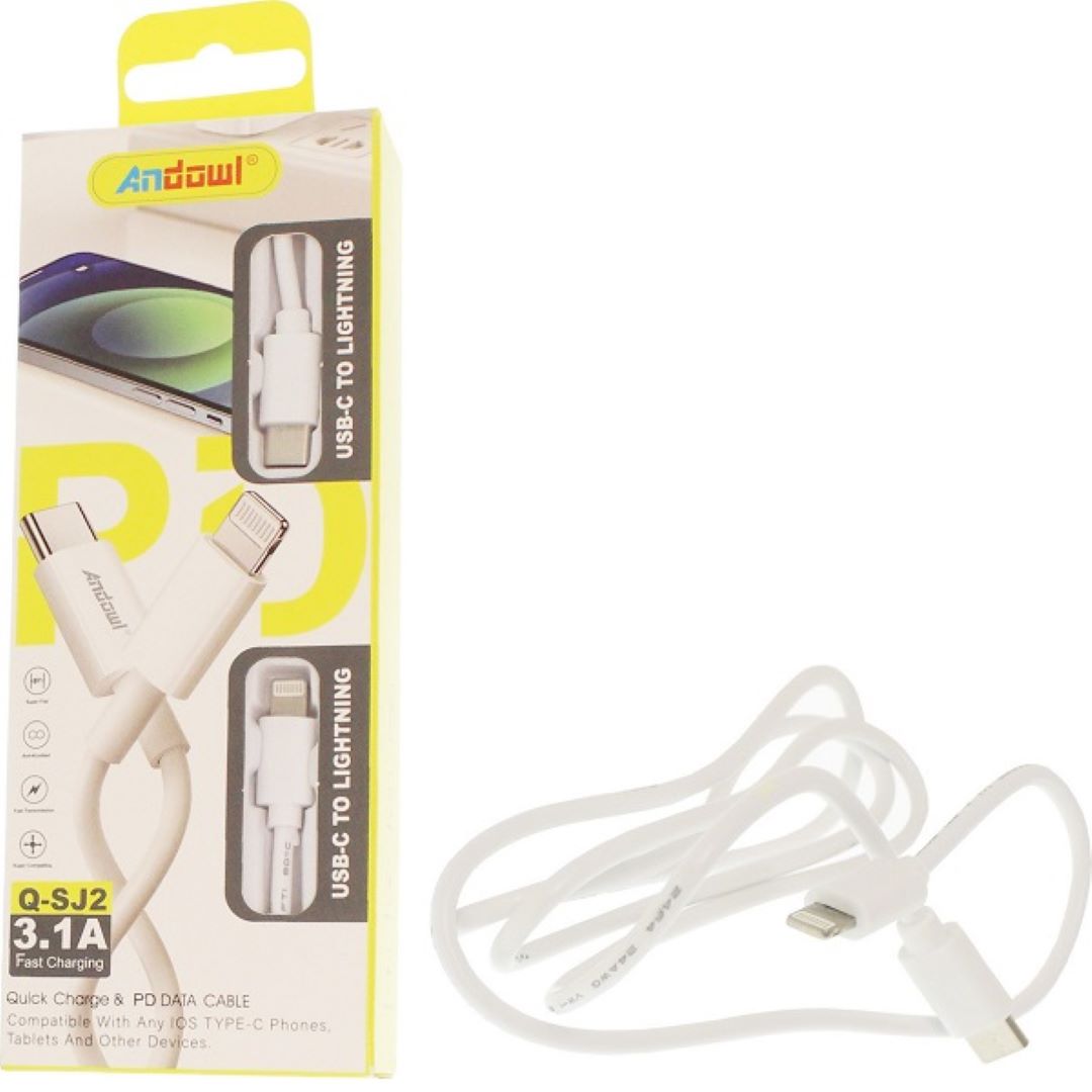 Andowl Cabel Lighting To Type C1